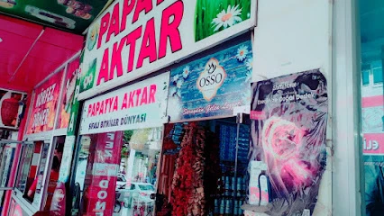 Papatya Aktar