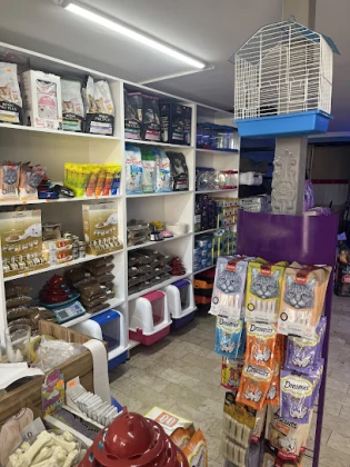 Poni Petshop