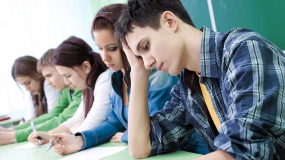Profesör Eğitim Danışmanlığı