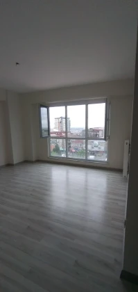 Profesyonel Boyacı