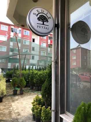 Sedir Peyzaj