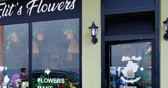 Sinop Elits Flowers