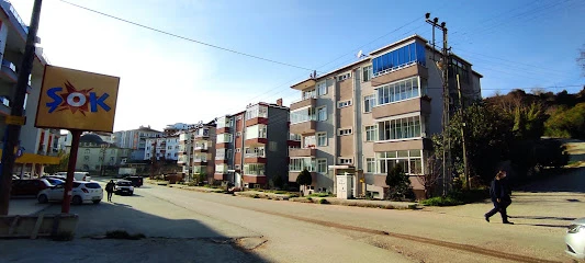 Sinop Web Tasarım