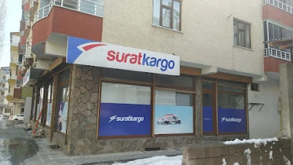Sürat Kargo Bingöl Şube