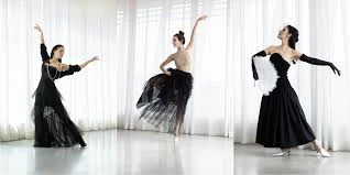 Swan Fashion