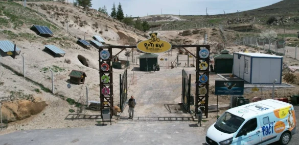 Talas Pati Evi