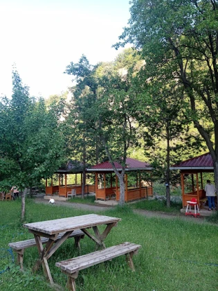 Taşkın Alabalık