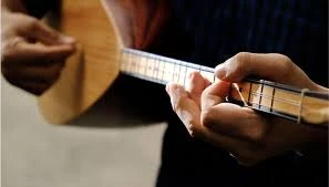 Temel Kanar Müzik