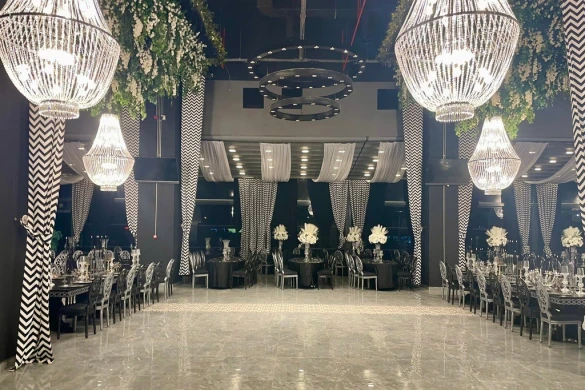 Tulipan Palazio