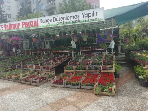 Uşak Yağmur Peyzaj