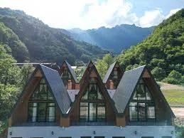 Uzungöl Tiny House