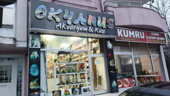Van Okyanus Petshop