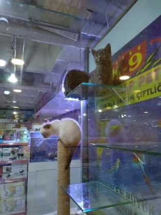 Von Alp Pet Shop