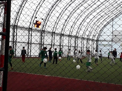 Yeşilay Halı Saha