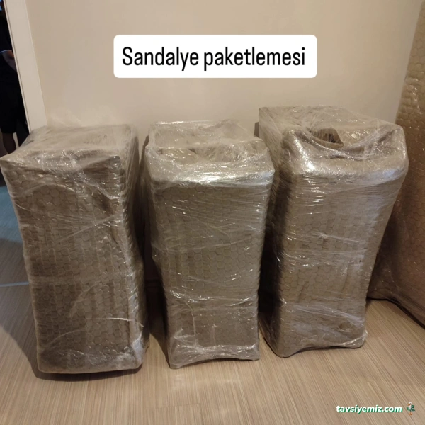 Maviçağ Lojistik