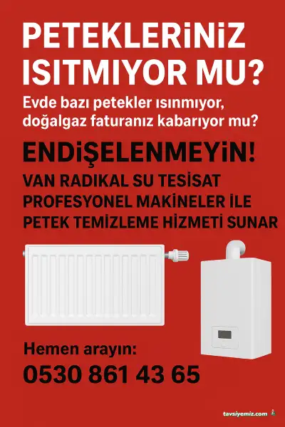 Van Radikal Tesisat