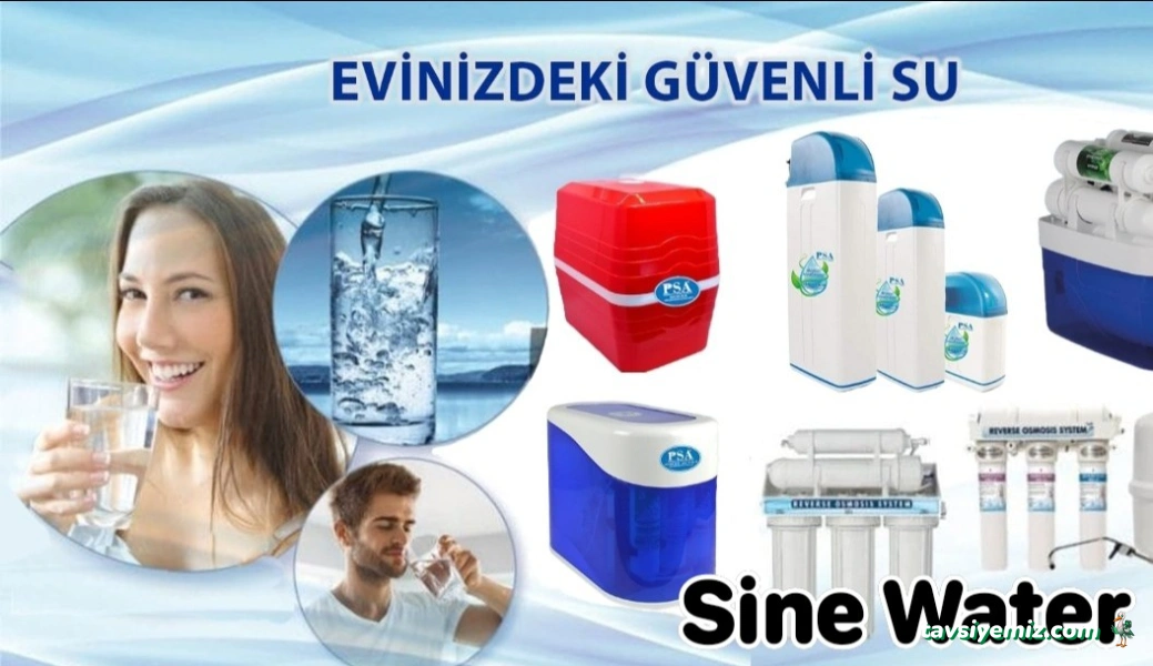 Sinerji