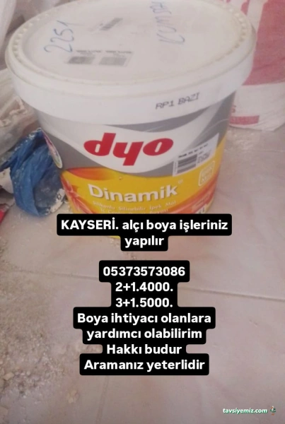 Erkan Kaya