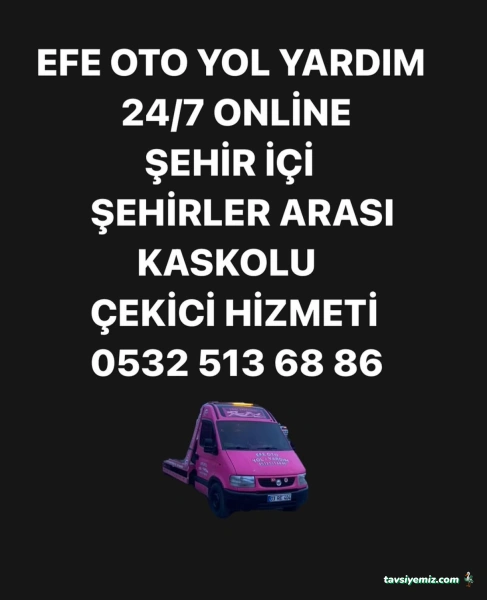 Reisoğulları San Tic Ltd Şirketi
