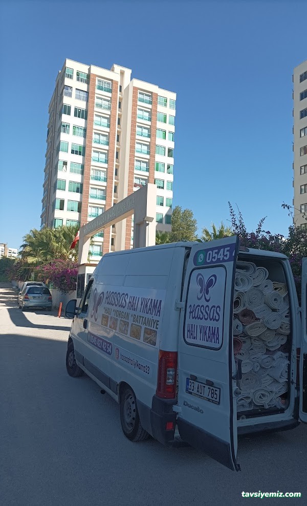Hassas Halı Yıkama Mersin Hassas Halı Yıkama Mersin
