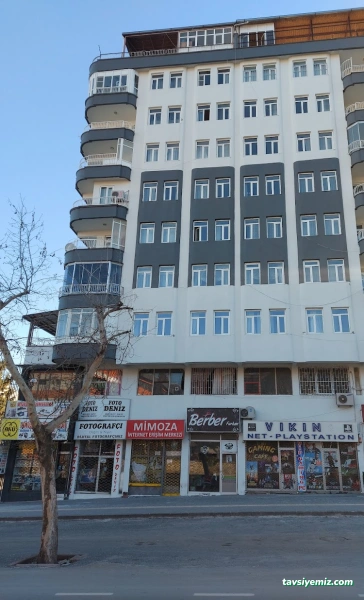 Mimoza İnternet Mimoza İnternet