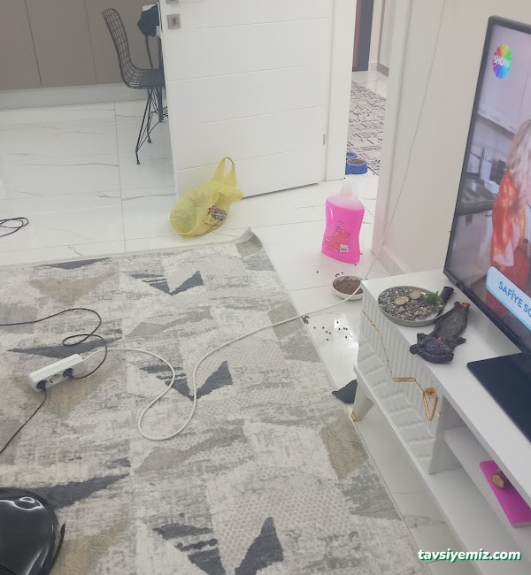 Manisa Güntekin Temizlik Hizmetleri Manisa Güntekin Temizlik Hizmetleri