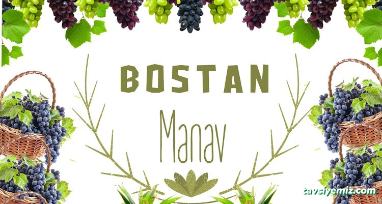 Bostan Manav Bostan Manav