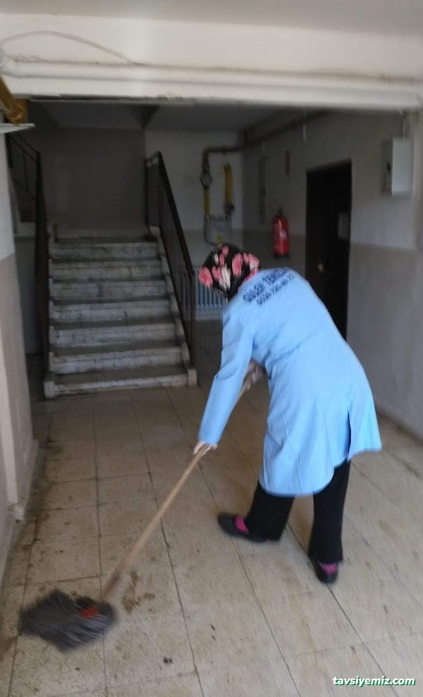 Bitlis Ecem Halı&Koltuk Yıkama Bitlis Ecem Halı&Koltuk Yıkama