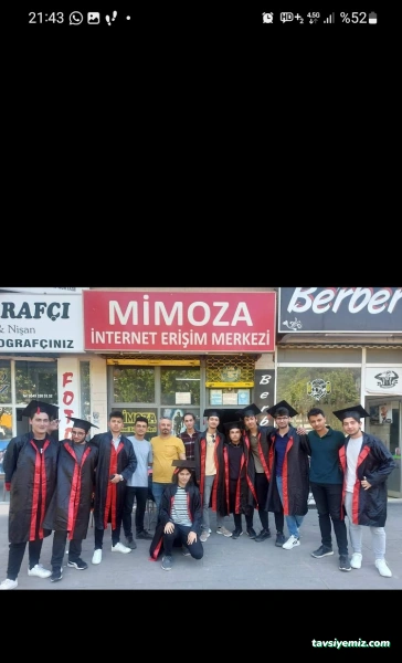 Mimoza İnternet Mimoza İnternet
