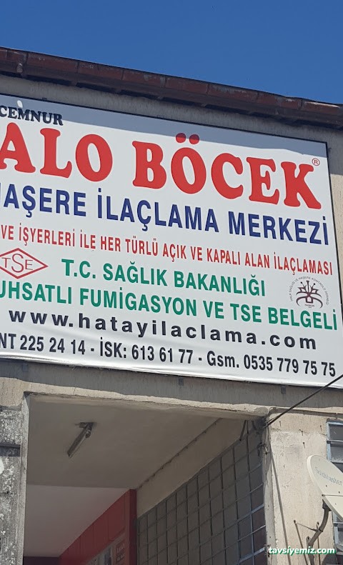 Hatay Alo Böcek İlaclama Ve Dezenfeksiyon Hatay Alo Böcek İlaclama Ve Dezenfeksiyon