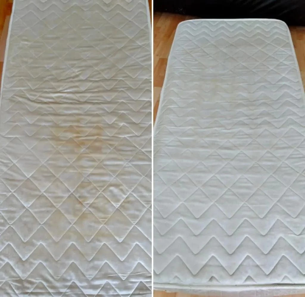 Platin Koltuk Ve Halı Yıkama