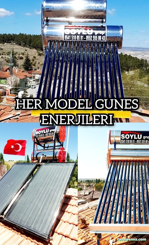 Soylu Grup Soylu Grup