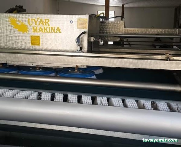 Expert Muğla Halı Yıkama Expert Muğla Halı Yıkama