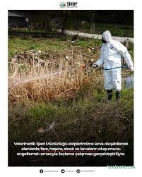 Sinop İlaçlama Sinop İlaçlama