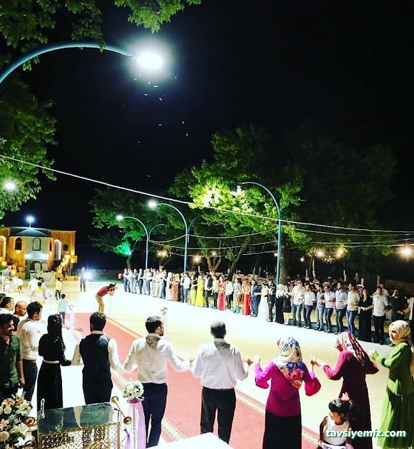 Çam Kır Düğünü & Restaurant Çam Kır Düğünü & Restaurant