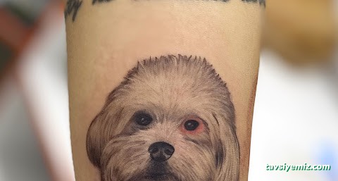 Ordu Dövme Secotattoo Ordu Dövme Secotattoo