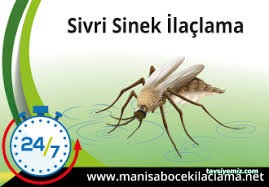 Manisa Böcek İlaçlama Manisa Böcek İlaçlama
