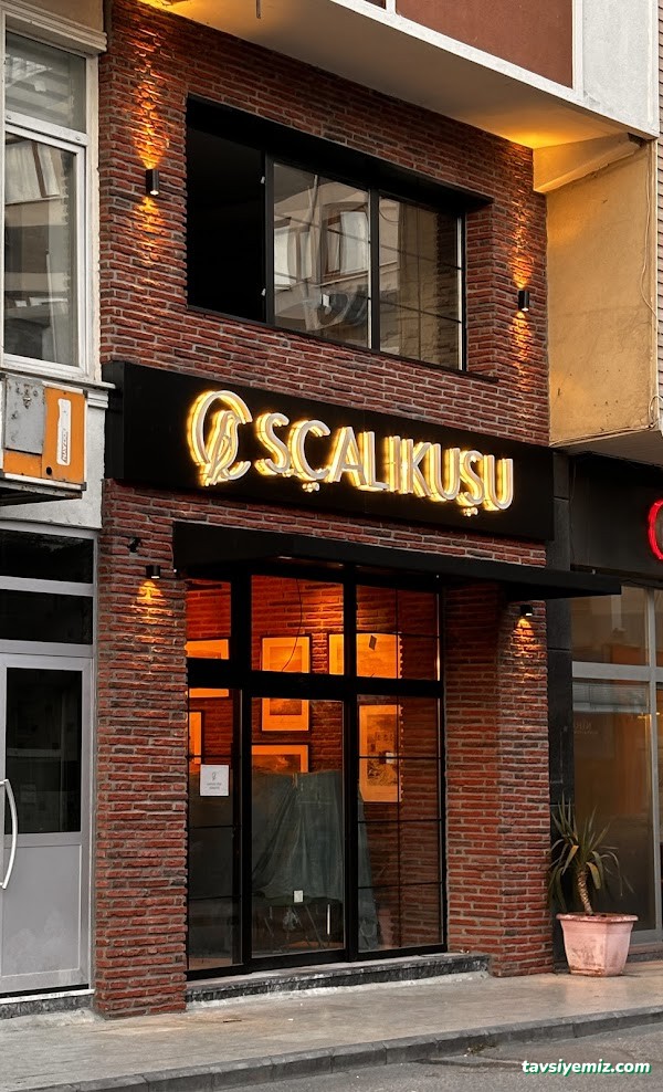 Sinop Çalıkuşu Restaurant Sinop Çalıkuşu Restaurant