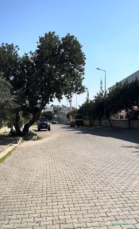 Bodrum Koltuk Yıkama Bodrum Koltuk Yıkama