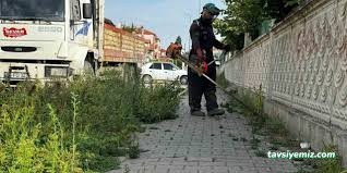 Şenol İlaçlama Şenol İlaçlama