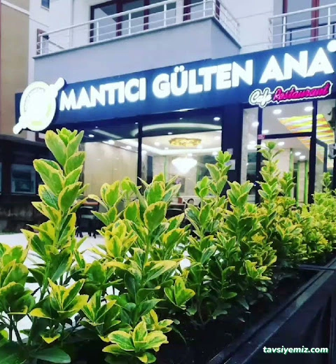 Mantıcı Gülten Ana Mantıcı Gülten Ana
