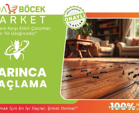 Ada İlaçlama Hizmetleri Ve Böcek Market Ada İlaçlama Hizmetleri Ve Böcek Market