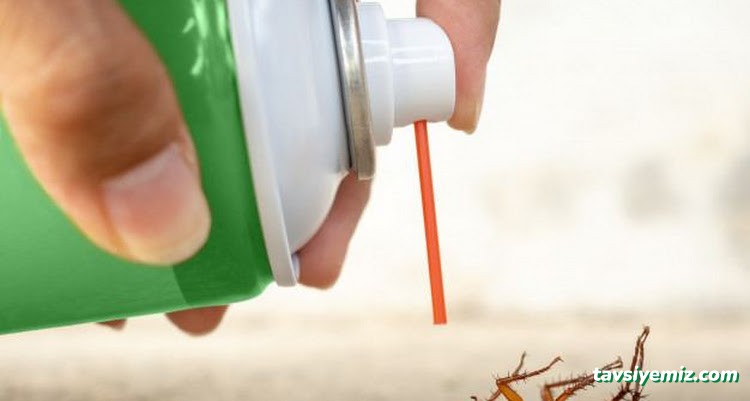Pest Life Böcek İlaç Ve İlaçlama Pest Life Böcek İlaç Ve İlaçlama