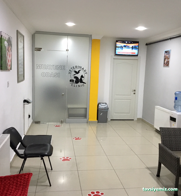 Vet Plus Veteriner Polikliniği 7/24 Vet Plus Veteriner Polikliniği 7/24