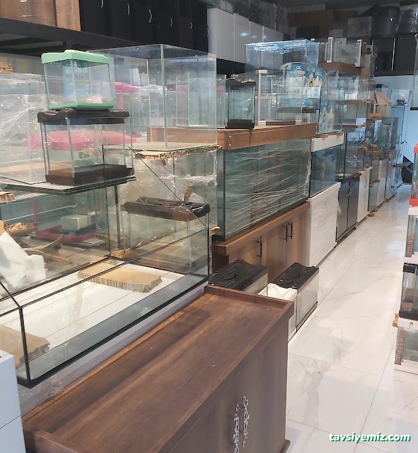 Bursa Cihan Akvaryum & Petshop