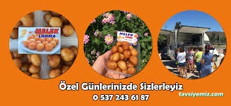 Melek Lokma İzmir Lokmacı Melek Lokma İzmir Lokmacı