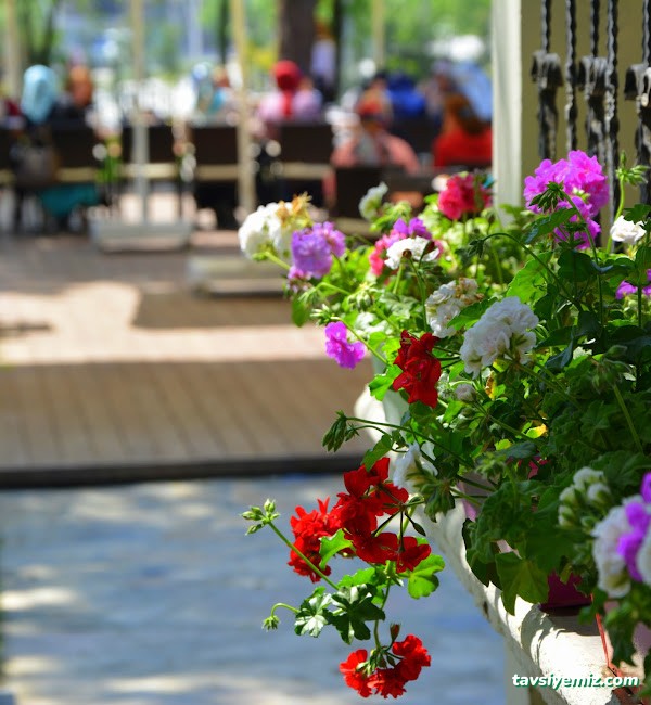 Koruköy Restoran & Kafe - Kır Düğünü Koruköy Restoran & Kafe - Kır Düğünü
