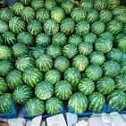 Çilek Manavı Çilek Manavı
