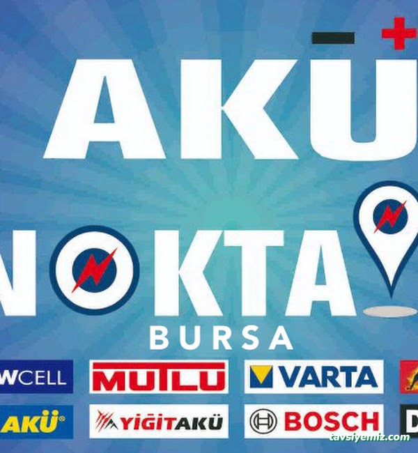 Bora Akü Bora Akü