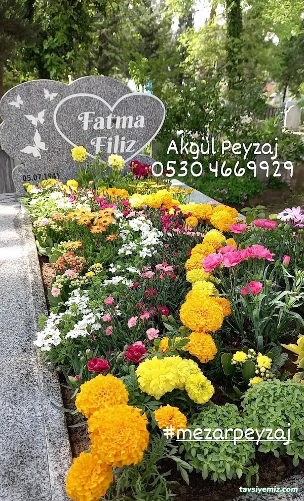 Akgül Peyzaj Akgül Peyzaj